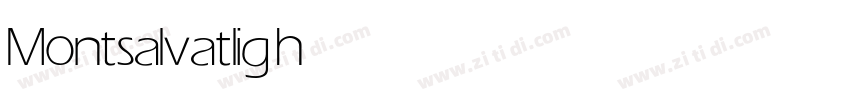 Montsalvat light字体转换 Montsalvat light字体转换